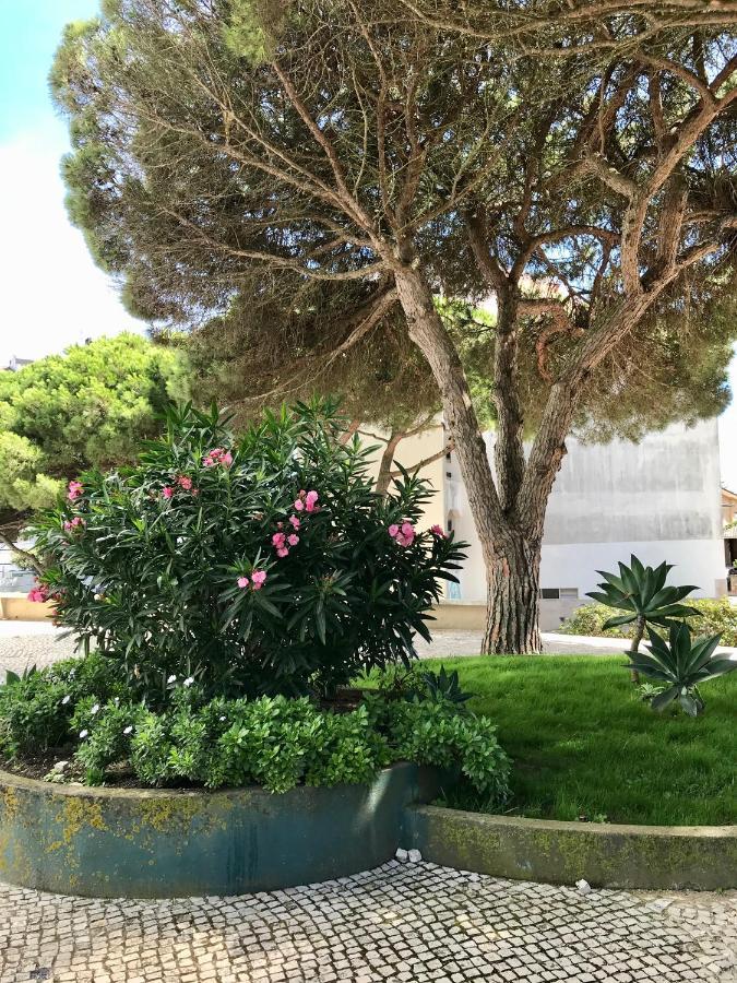 Pine Apartment - A 3M Da Ciclovia Guincho Cascais Exterior photo